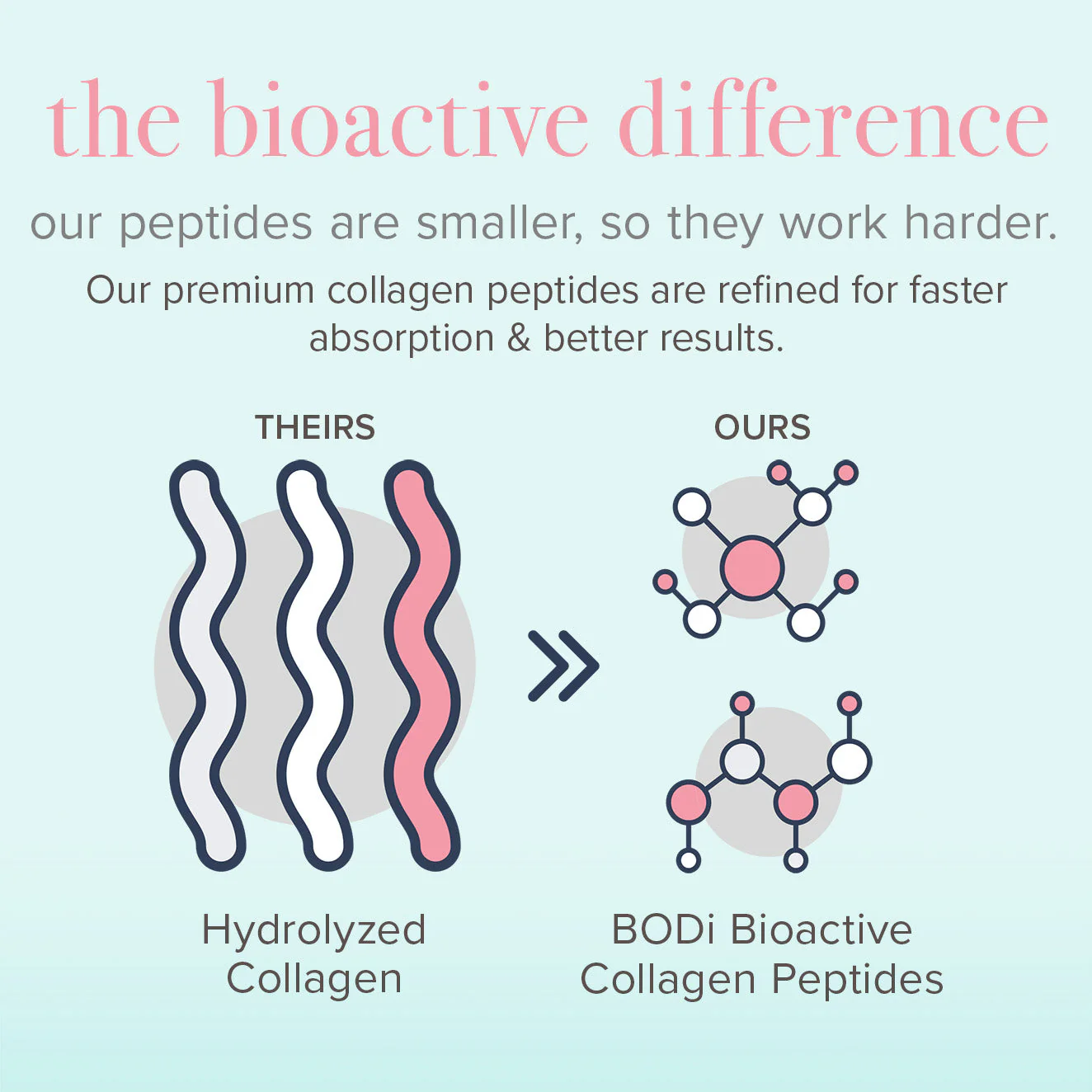 Bioactive Collagen Peptides - Image 6